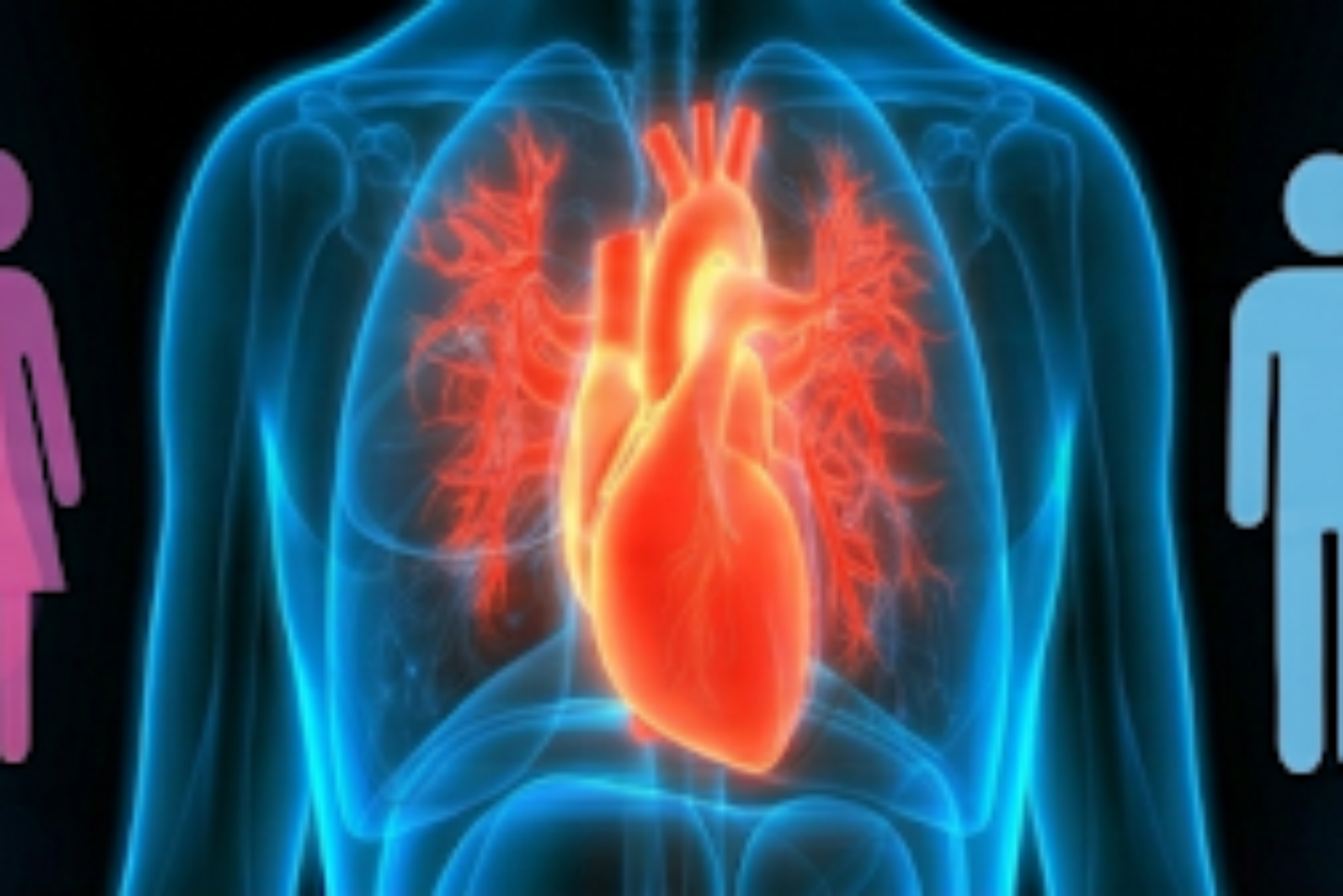 online academy Fachartikel Schmerztherapie